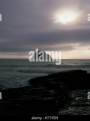 Gull Rock Cornwall Stockfoto