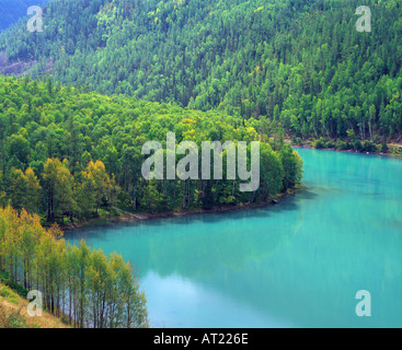 Wald im Frühherbst entlang der Ufer des Kanas See Kanas See Natur Reserve Altay Berge Xinjiang Nordwestchina Stockfoto