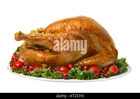 Türkei auf Platte garniert Stockfoto