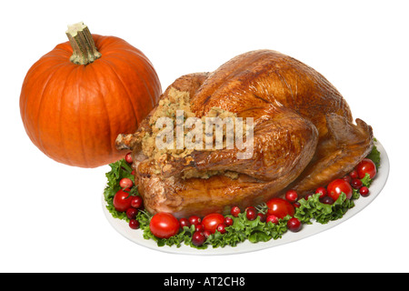 Thanksgiving-Truthahn und Kürbis Stockfoto