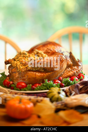 Thanksgiving-Truthahn Stockfoto