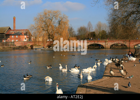 Stratford-upon-Avon Fluss William Shakespeare Geburtshaus Warwickshire England uk gb Stockfoto