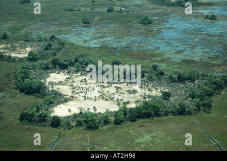 Luftaufnahme von Cessna Flugzeug des Okavango Delta Botswana südlichen Afrika zeigen Herz geformten Ring von Palmen Stockfoto