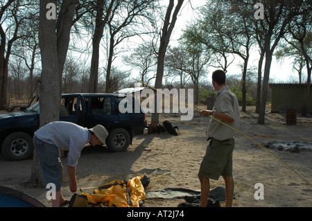 2 Männer Aufstellen von Zelt am Campingplatz im südlichen Afrika Nxai Pan Nationalpark Kalahari-Wüste Botswana mit Elefanten Stockfoto