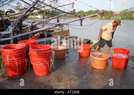 Fischer, die ihre Sicht auf den Fisch entladen Markt Pier in Kuching, Sarawak, Borneo, Malaysia Stockfoto