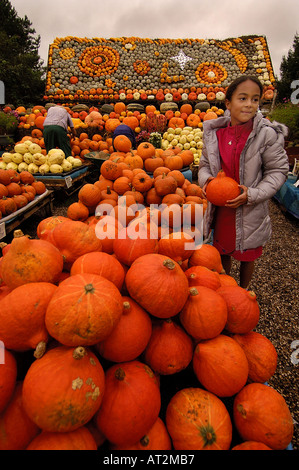 Kürbisse zum Verkauf in Slindon, West Sussex, England bereit für Halloween. Bild von Andrew Hasson, Oktober 2005 Stockfoto