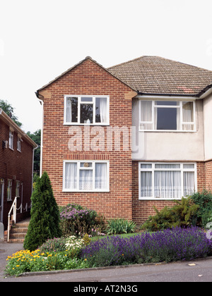 Lavendel in kleinen Garten vor s Doppelhaushälfte absichern Stockfoto