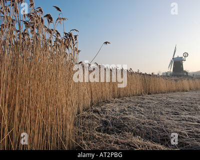 WINTER-BLICK AUF CLEY WINDMÜHLE MIT FROST BEDECKT SCHILFFLÄCHEN, CLEY NORTH NORFOLK ENGLAND UK Stockfoto