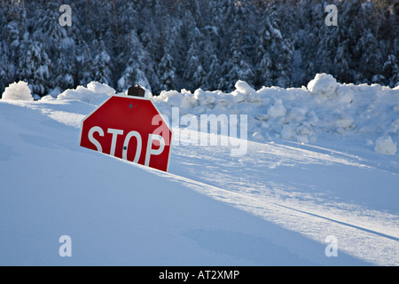 Stop-Schild mit Schnee bedeckt Stockfoto