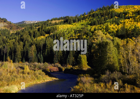 White River und Aspen Bäume in Herbstfarben flache Tops Wildnis Colorado USA September 2007 Stockfoto