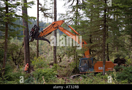 Protokollierung der Arbeiter Fällen Baum Vancouver Island Kanada Stockfoto