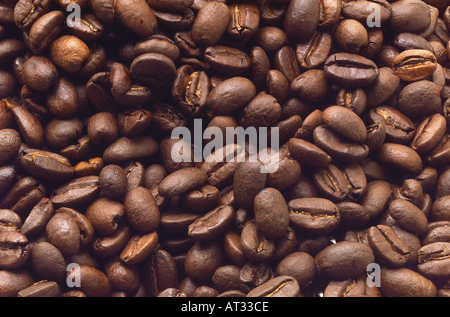 Nahaufnahme von Kaffeebohnen Stockfoto