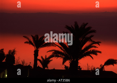 Palmen am Resort Hotel Sonnenuntergang über dem Toten Meer in Jordanien Stockfoto