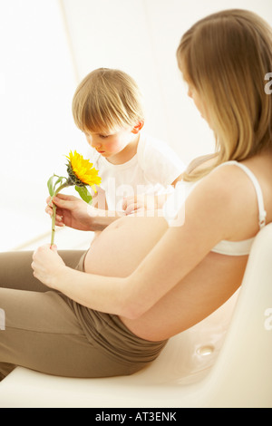 Ein kleiner Junge sitzt auf seiner Mutter Knie betrachten eine Sonnenblume Stockfoto