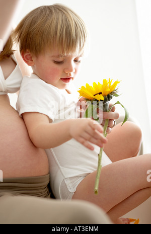 Ein kleiner Junge sitzt auf seiner Mutter Knie betrachten eine Sonnenblume Stockfoto