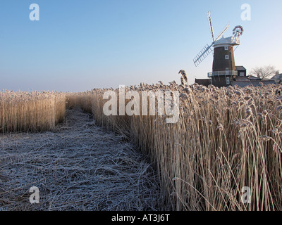 WINTER-BLICK AUF CLEY WINDMÜHLE MIT FROST BEDECKT SCHILFFLÄCHEN, CLEY NORTH NORFOLK ENGLAND UK Stockfoto