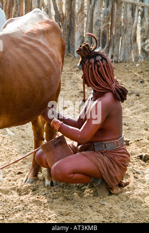 Himba Frau melkende Kuh Stockfoto