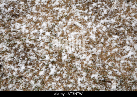 Große flauschige Schneeflocken auf Beige/Orange Boden mit Patches neue junge Gras Stiele. Stockfoto