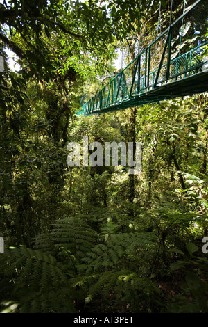 Costa Rica Santa Elena Frau Tourist auf erhöhten Hängebrücke über Baumkronen Stockfoto