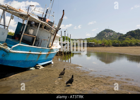 Costa Rica Quepos Türkei Geier in der Nähe von Boote vertäut an der Mündung des Flusses bei Ebbe Stockfoto