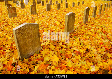 Konföderierte Soldaten s Gräber auf dem Elmwood Cemetery Stockfoto