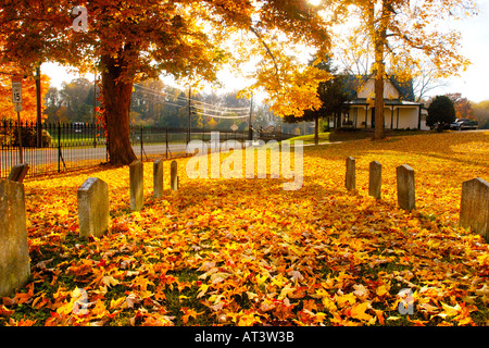 Konföderierte Soldaten s Gräber auf dem Elmwood Cemetery Stockfoto