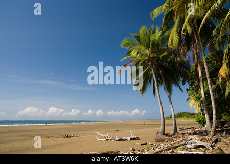 Costa Rica Uvita Parque Nacional Marino Bellena Besucher am Strand Stockfoto