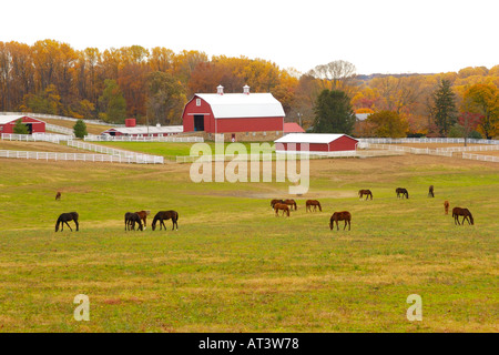 Malerische Murmur Bauernhof in Darlington Maryland Stockfoto