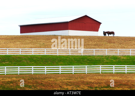 Malerische Murmur Bauernhof in Darlington Maryland Stockfoto