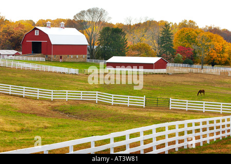 Malerische Murmur Bauernhof in Darlington Maryland Stockfoto