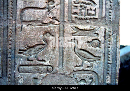 Dekorierte Wand eingeschrieben mit Figuren und Hieroglyphen Ägypten Stockfoto