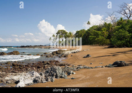 Costa Rica Osa Halbinsel Playa Las Caletas Stockfoto