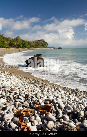 Costa Rica Osa Halbinsel Cabo Matapalo Pan Dulce Strand selektiven Fokus auf Vordergrund Stockfoto