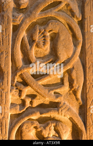 Ruthwell Cross in der Nähe von Annan ist ein 8. Jahrhunderts Anglo Saxon Kreuz geschnitzt im Northumbrian Stil Runenkästchen Kirche Scotland UK Stockfoto