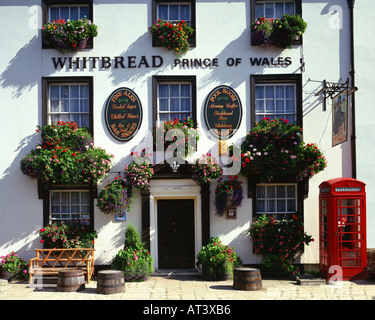 GB - GLOUCESTERSHIRE: Prince Of Wales Pub in Cheltenham Stockfoto