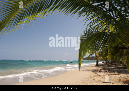 Costa Rica Karibik Küste Manzanillo Sonnenanbeter entspannen auf Palmen gesäumten Strand Stockfoto