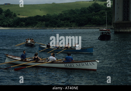 weibliche Mannschaften Cornish racing pilot Gigs unter der Brunel-Brücke an der Tamar Cornwall bei Saltash UK Stockfoto