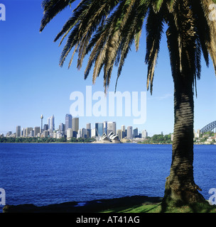 Geographie/Reise, Australien, New South Wales, Sydney, Blick von Cremorne Point, Stadt, Skyline, Wolkenkratzer, Palme, Stockfoto