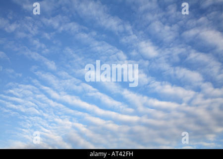 Altocumulus Udulatus langen Reihen der weißen Wolke auf einem strahlend blauen Himmel. Stockfoto