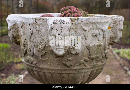 Große antike Stein Pflanzer im Garten Stockfoto