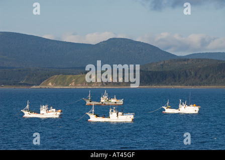 Angelboote/Fischerboote im Hafen von Yuzhno Kurilsk auf Kunaschir Insel auf Kurilen im russischen Fernen Osten Stockfoto