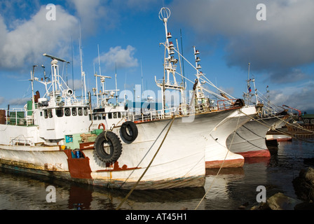 Angelboote/Fischerboote im Hafen von Yuzhno Kurilsk auf Kunaschir Insel auf Kurilen im russischen Fernen Osten Stockfoto