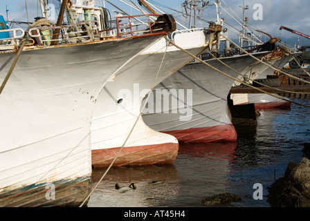 Angelboote/Fischerboote im Hafen von Yuzhno Kurilsk auf Kunaschir Insel auf Kurilen im russischen Fernen Osten Stockfoto