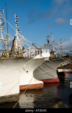 Angelboote/Fischerboote im Hafen von Yuzhno Kurilsk auf Kunaschir Insel auf Kurilen im russischen Fernen Osten Stockfoto