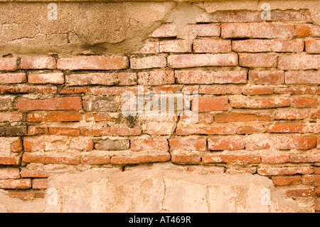 Historische Mauer in Ayutthaya Thailand Stockfoto