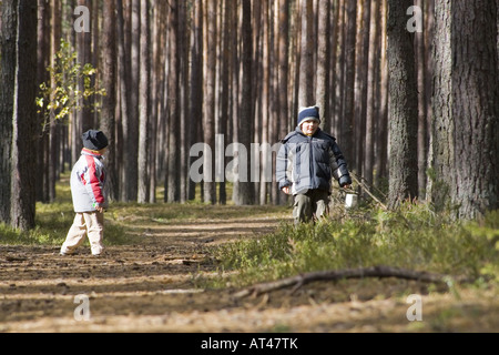 Spielen Sie im Wald, jungen Wandern im Wald Stockfoto