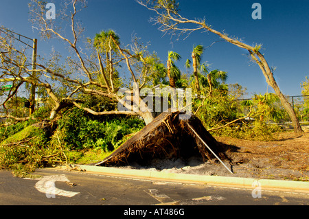 Florida Hurrikan Sturm und Winde mit Strand Wohnstraße während Hurrikan in Palm und Miami-Dade-Strand-Grafschaft Stockfoto
