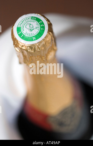 Eine Nahaufnahme von einer Qualität französischen Champagner Flasche flach konzentrierte sich auf die Folie abgedeckt-Kork Stockfoto