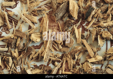 gemeinsamen Lakritz, Lakritz, Lakritz, Lakritz, süße Lakritze, Süßholz, echte Lakritze (Glycyrrhiza Glabra, Liqu kultiviert Stockfoto