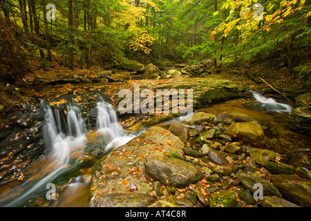 Ein Nebenfluss des Flusses Baker Kaskaden durch einen Hemlock Wald in Groton, New Hampshire. Groton hohl.  Fallen. Stockfoto